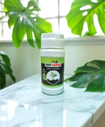 Root Carbon