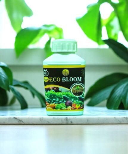 Eco Bloom